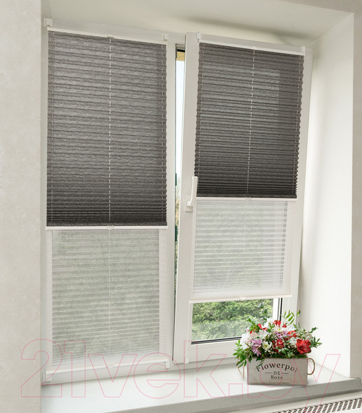 Изображение товара Штора-плиссе Delfa Walnut СПШ-3401/3504 Plain Transparent (48x160, антрацит/белый)