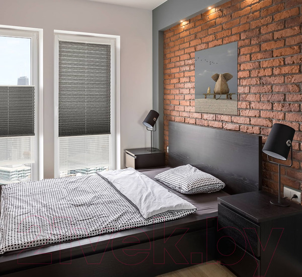 Изображение товара Штора-плиссе Delfa Walnut СПШ-3401/3504 Plain Transparent (48x160, антрацит/белый)