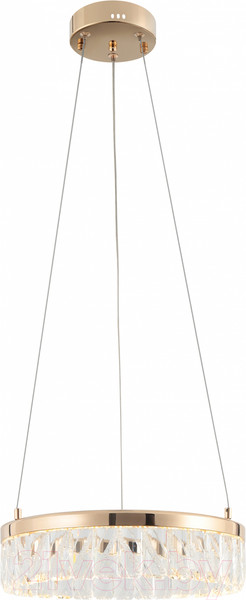 Изображение товара Потолочный светильник Rivoli Erika 6131-101 / Б0061963