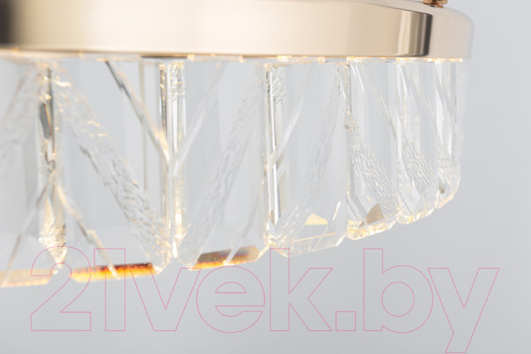 Изображение товара Потолочный светильник Rivoli Erika 6131-101 / Б0061963