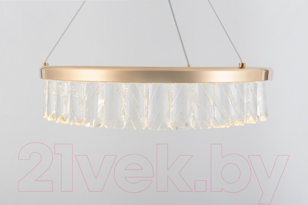 Изображение товара Потолочный светильник Rivoli Erika 6131-101 / Б0061963