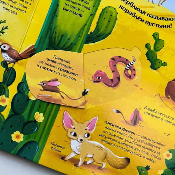 Изображение товара Развивающая книга Malamalama Книжка с окошками. Мир животных, твердая обложка