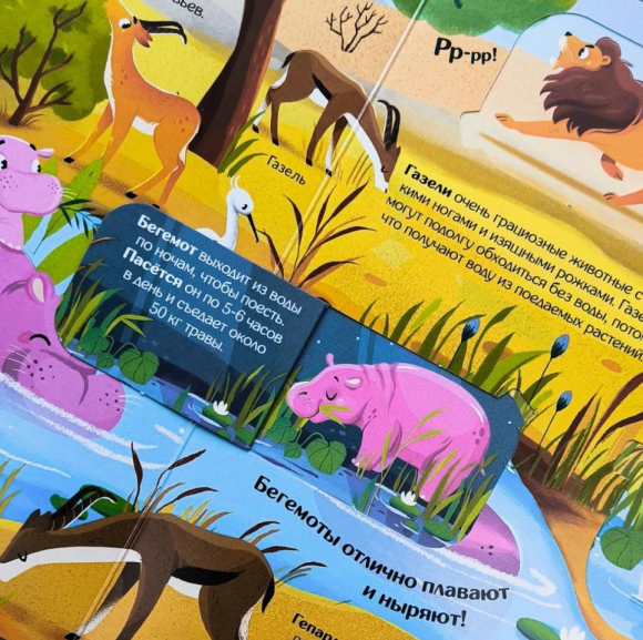 Изображение товара Развивающая книга Malamalama Книжка с окошками. Мир животных, твердая обложка