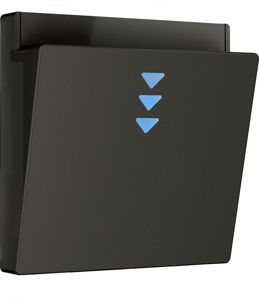 Изображение товара Лицевая панель Werkel W1163108 (черный)