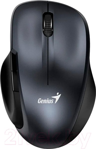 Изображение товара Мышь Genius Ergo 8200S (серый)