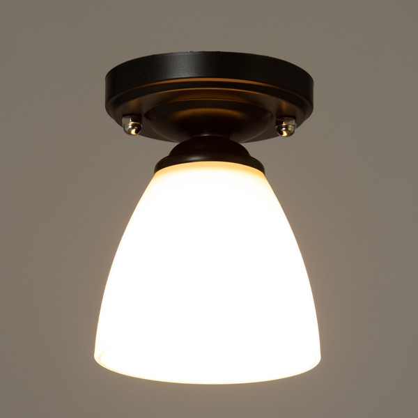 Изображение товара Потолочный светильник BayerLux 91312/1 / 4901116 (черный)