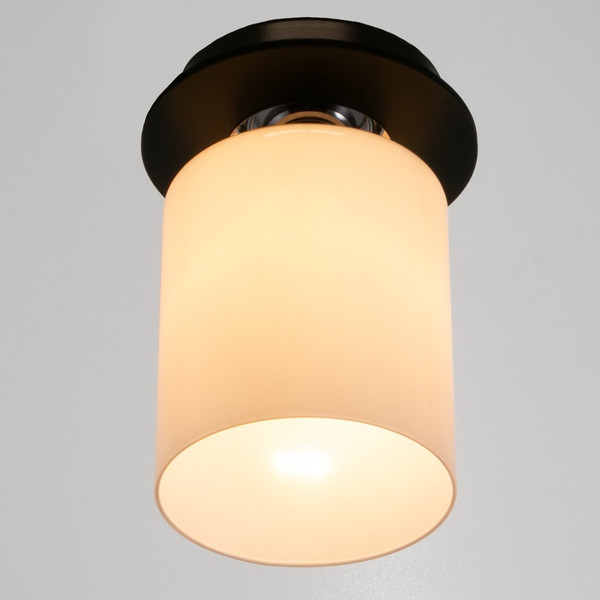 Изображение товара Потолочный светильник BayerLux 91310/1 / 4901114 (венге/хром)