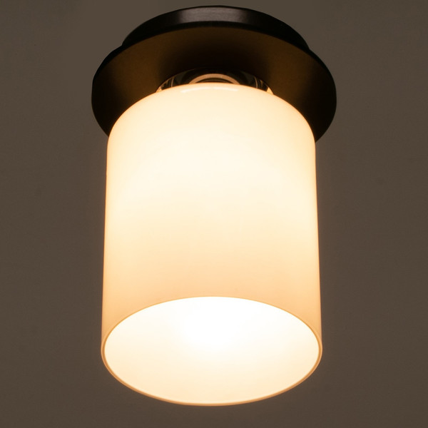 Изображение товара Потолочный светильник BayerLux 91310/1 / 4901114 (венге/хром)