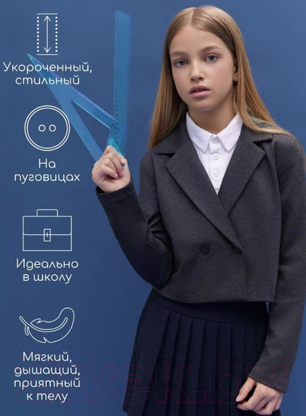 Изображение товара Пиджак детский Amarobaby Study Short / AB-OD24-SS3002/11-140 (серый, р.140)