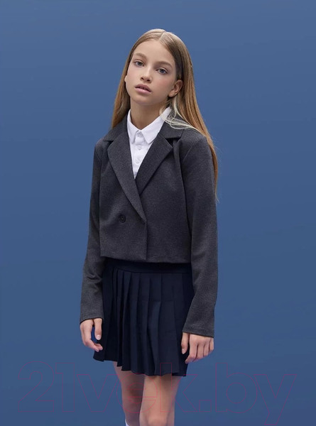 Изображение товара Пиджак детский Amarobaby Study Short / AB-OD24-SS3002/11-146 (серый, р.146)