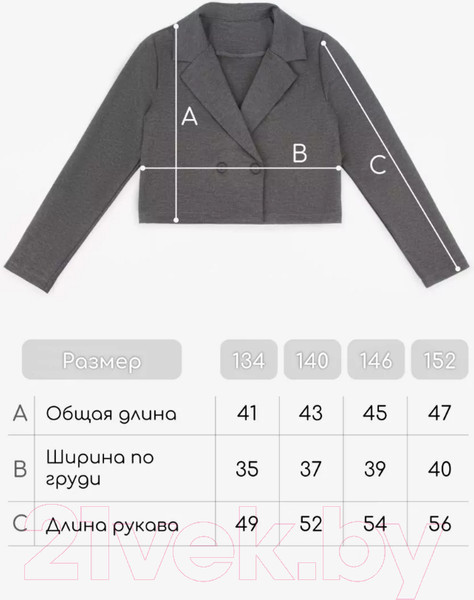 Изображение товара Пиджак детский Amarobaby Study Short / AB-OD24-SS3002/11-146 (серый, р.146)
