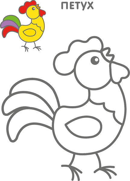 Изображение товара Раскраска Робинс Самые первые раскраски. Животные 2+ / 9785436608648