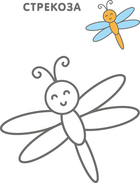 Изображение товара Раскраска Робинс Самые первые раскраски. Животные 2+ / 9785436608648