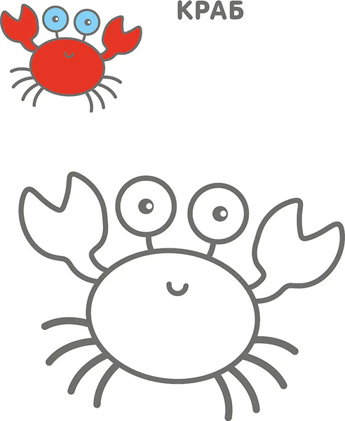 Изображение товара Раскраска Робинс Самые первые раскраски. Животные 2+ / 9785436608648