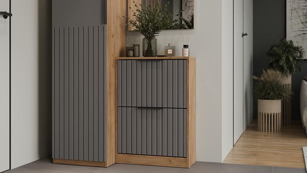 Изображение товара Тумба для обуви ТриЯ Хилтон Исп.2 (дуб крафт золотой/графит матовый)