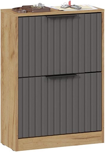 Изображение товара Тумба для обуви ТриЯ Хилтон Исп.2 (дуб крафт золотой/графит матовый)