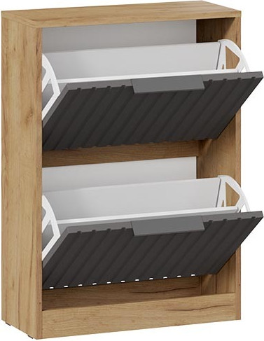 Изображение товара Тумба для обуви ТриЯ Хилтон Исп.2 (дуб крафт золотой/графит матовый)