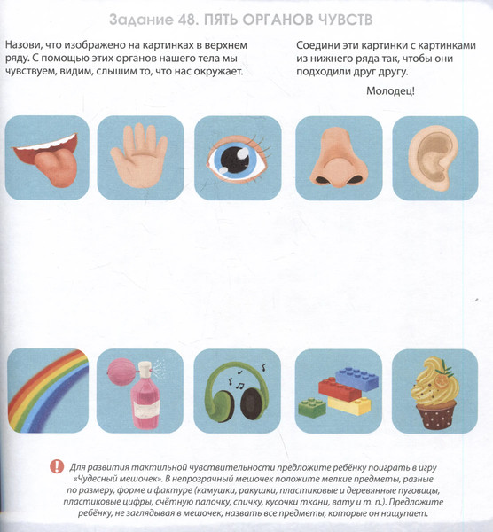 Изображение товара Развивающая книга Робинс Альбом для развития мозга 3+ / 9785436609478