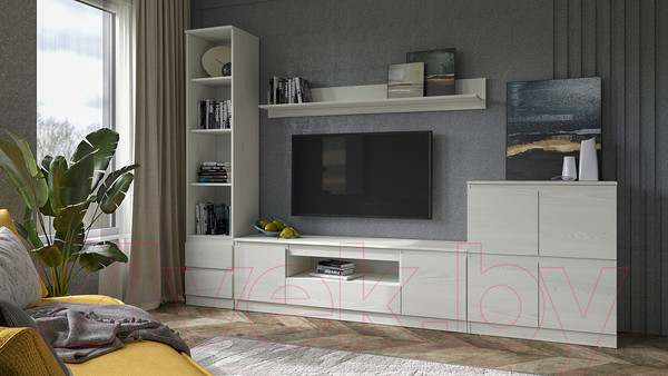 Изображение товара Стенка Евва Турин №3 (ясень снежный)