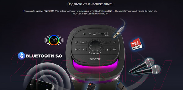 Изображение товара Портативная колонка Ginzzu GM-226