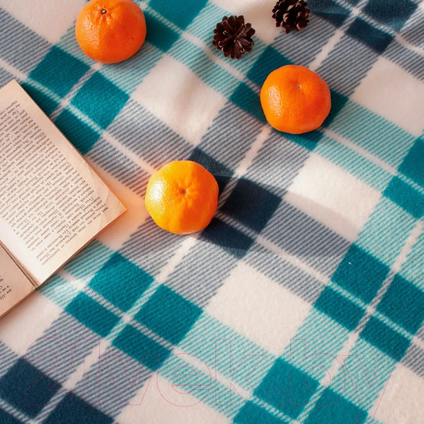 Изображение товара Плед Casa Conforte London 130x170 / 6155160 (изумрудный/синий)