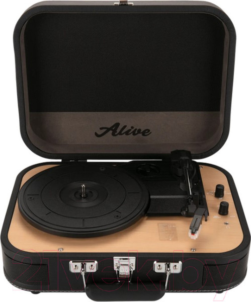 Изображение товара Проигрыватель виниловых пластинок Alive Audio Liberty Macassar Pass c Bluetooth / AA-NTE-08-BK