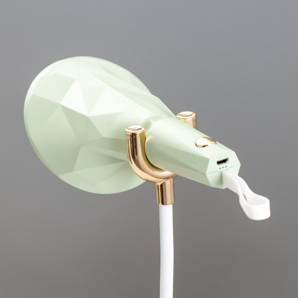 Изображение товара Настольная лампа Risalux Делсер 9352531 (зеленый)