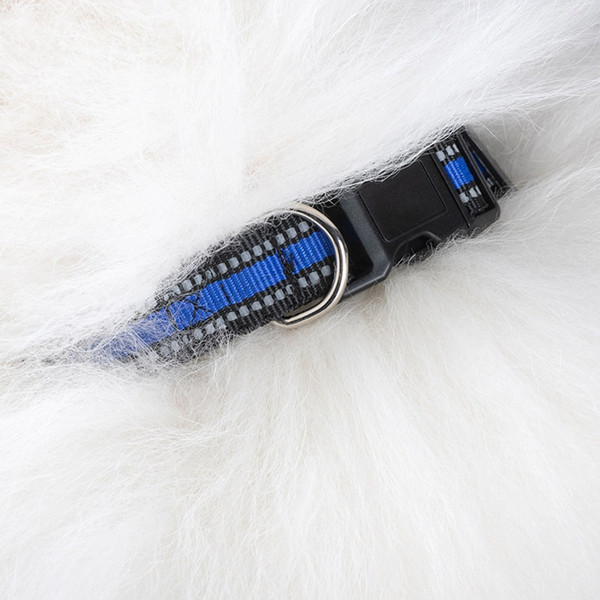 Изображение товара Ошейник Рыжий кот 108063