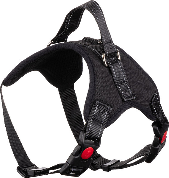 Изображение товара Шлея Рыжий кот 108066 (52-63см)