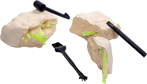 Изображение товара Набор для опытов Десятое королевство Раскопки Найди окаменелости Тираннозавра / 05400