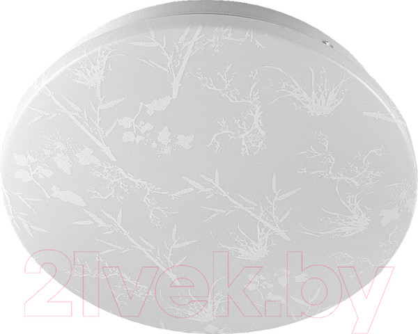 Изображение товара Потолочный светильник General Lighting Plant GSMCL-020-24 / 800261