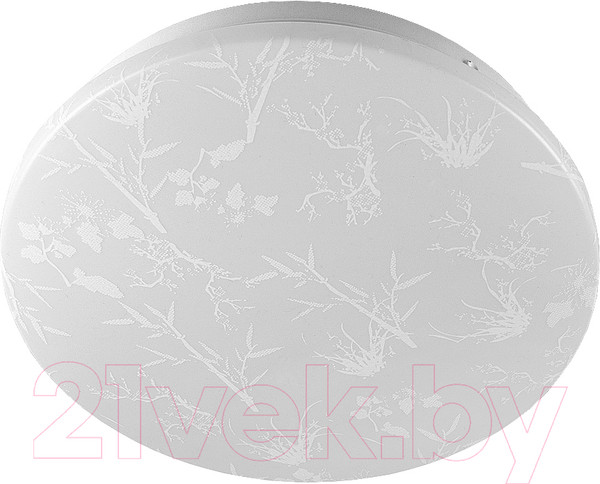 Изображение товара Потолочный светильник General Lighting Plant GSMCL-020-18 / 800260