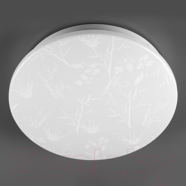 Изображение товара Потолочный светильник General Lighting Plant GSMCL-020-18 / 800260