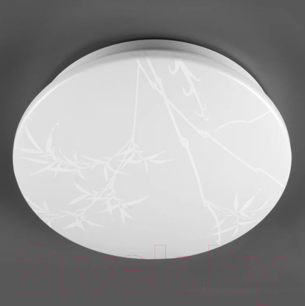 Изображение товара Потолочный светильник General Lighting Reed GSMCL-019-12 / 800256