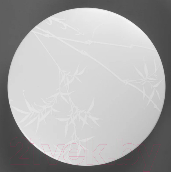 Изображение товара Потолочный светильник General Lighting Reed GSMCL-019-12 / 800256