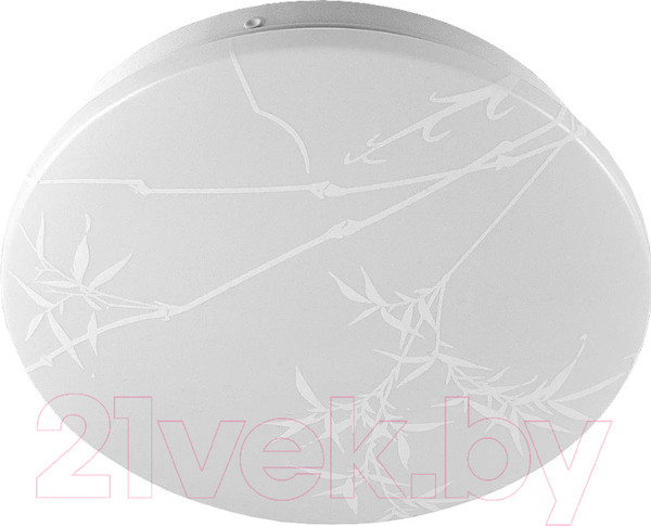 Изображение товара Потолочный светильник General Lighting Reed GSMCL-019-12 / 800256