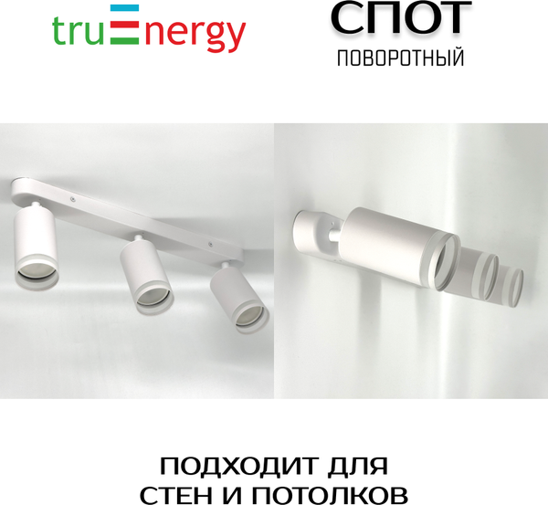Изображение товара Спот Truenergy 21367