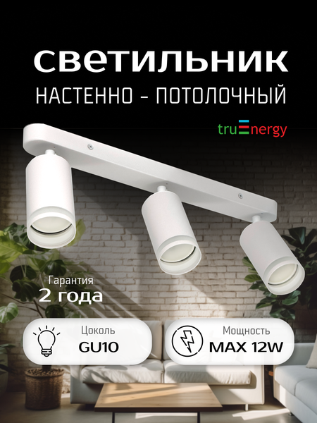 Изображение товара Спот Truenergy 21367