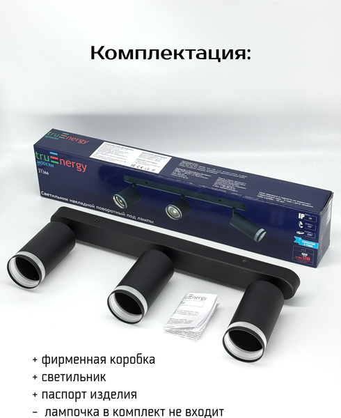 Изображение товара Спот Truenergy 21366