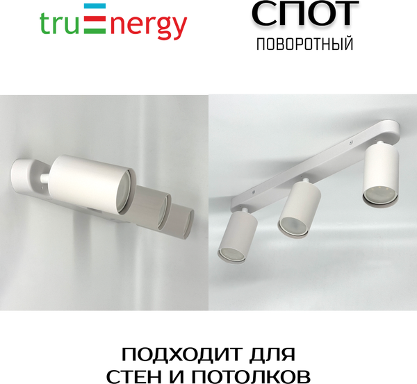Изображение товара Спот Truenergy 21363