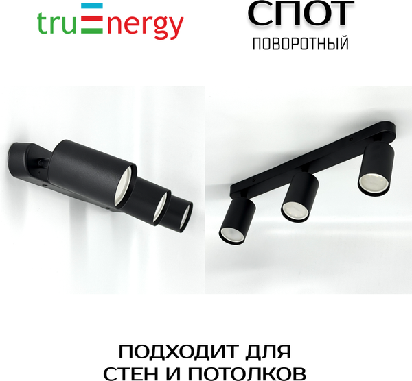 Изображение товара Спот Truenergy 21362