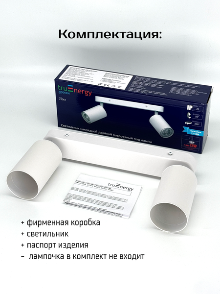 Изображение товара Спот Truenergy 21361