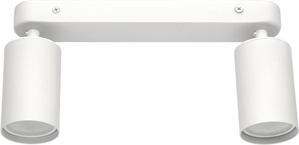 Изображение товара Спот Truenergy 21361