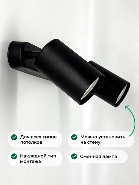 Изображение товара Спот Truenergy 21360