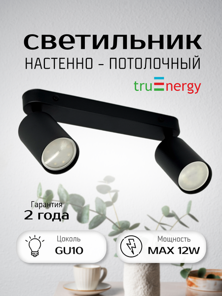 Изображение товара Спот Truenergy 21360