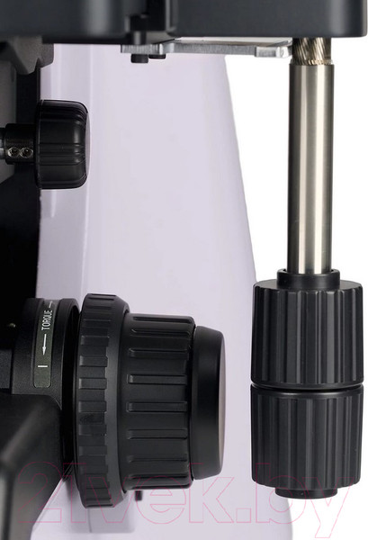 Изображение товара Микроскоп оптический Magus Bio 290T / 83482