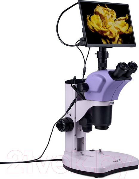 Изображение товара Микроскоп цифровой Magus Stereo D9T LCD / 83045
