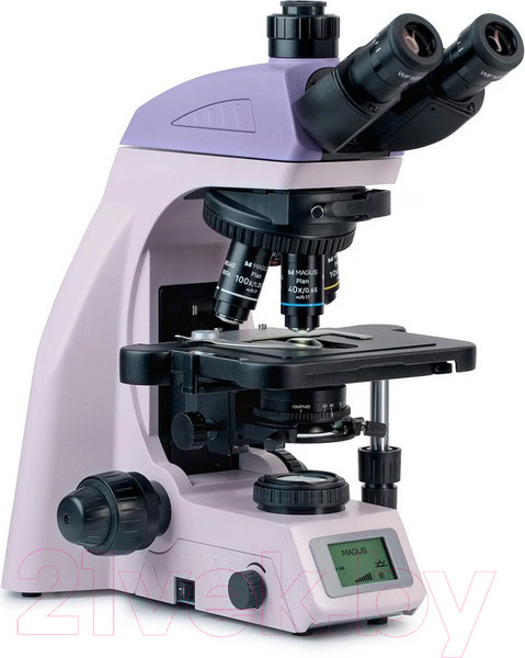 Изображение товара Микроскоп оптический Magus Bio 260T / 83479