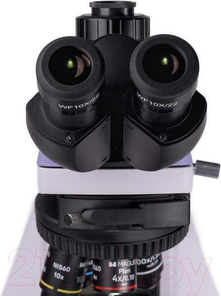 Изображение товара Микроскоп оптический Magus Bio 260T / 83479