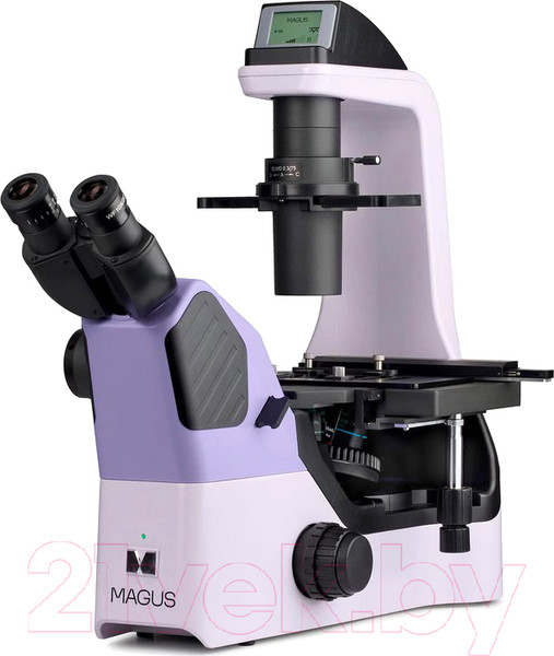 Изображение товара Микроскоп оптический Magus Bio V360 / 83483